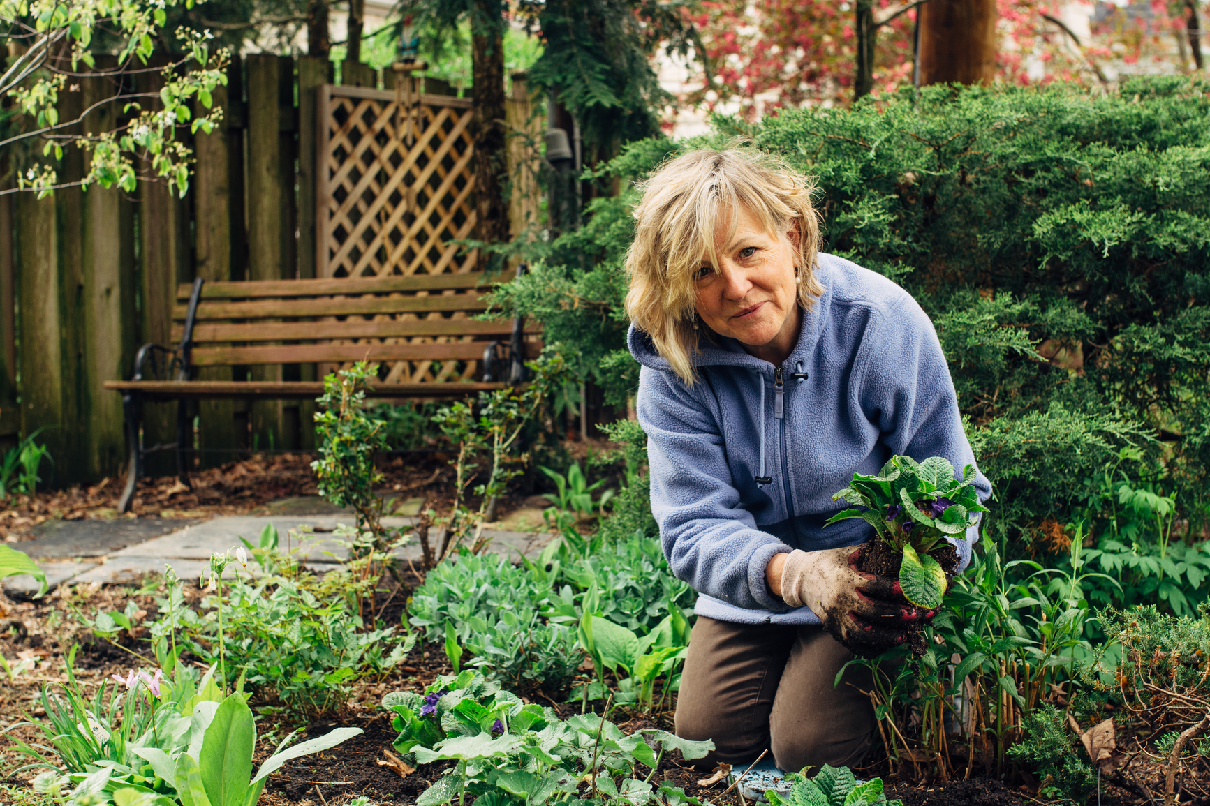 Person placing a plant into a prepared garden bed.