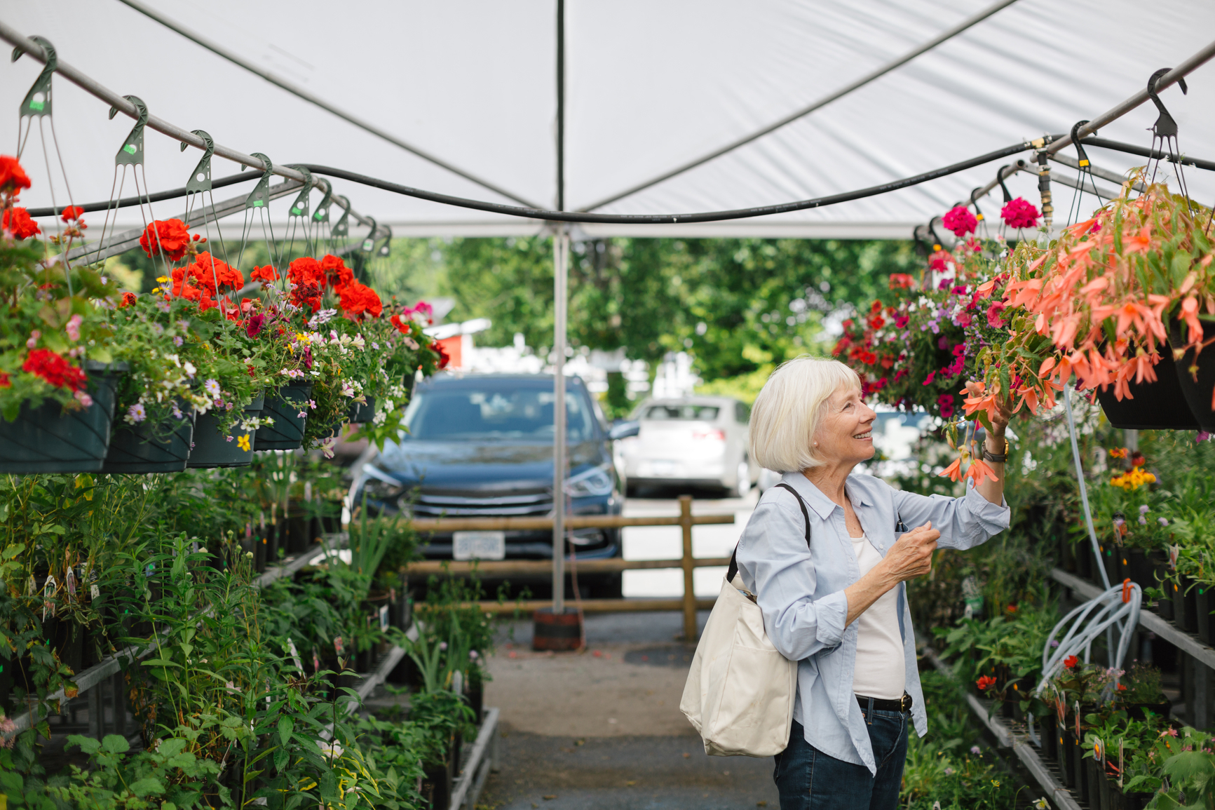 Person inspecting leaves in a vegetable bed.