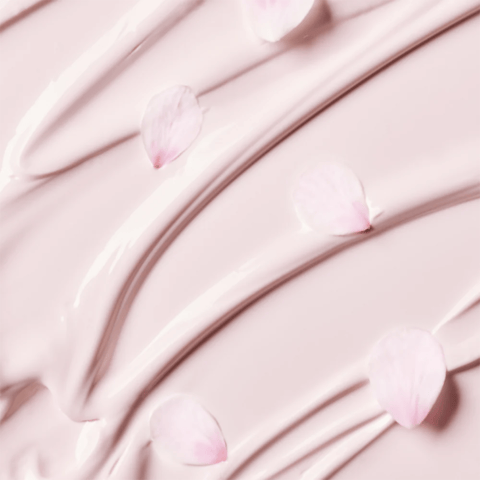 Cherry Blossom Glow Tone Up Cream - 50 ml