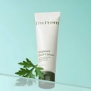 Mugwort Fluid Cream - 50 ml