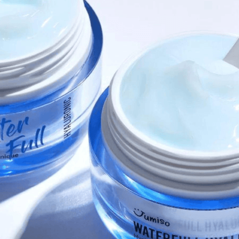 Waterfull Hyaluronic Cream - 50 g