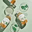 Mugwort Calming Toner - 300 ml