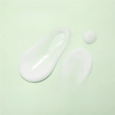 Green Tea Fresh Sunscreen - 45 ml