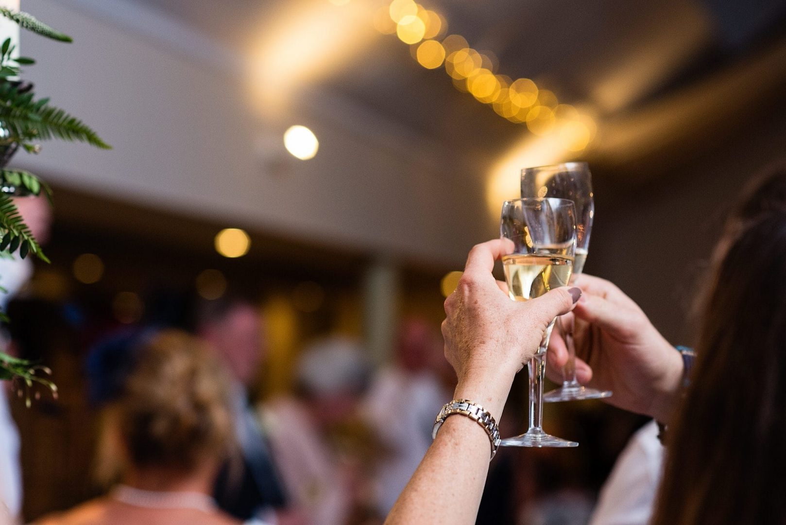 Glasses raised for the toast at the Larmertree Gardens - Wiltshire