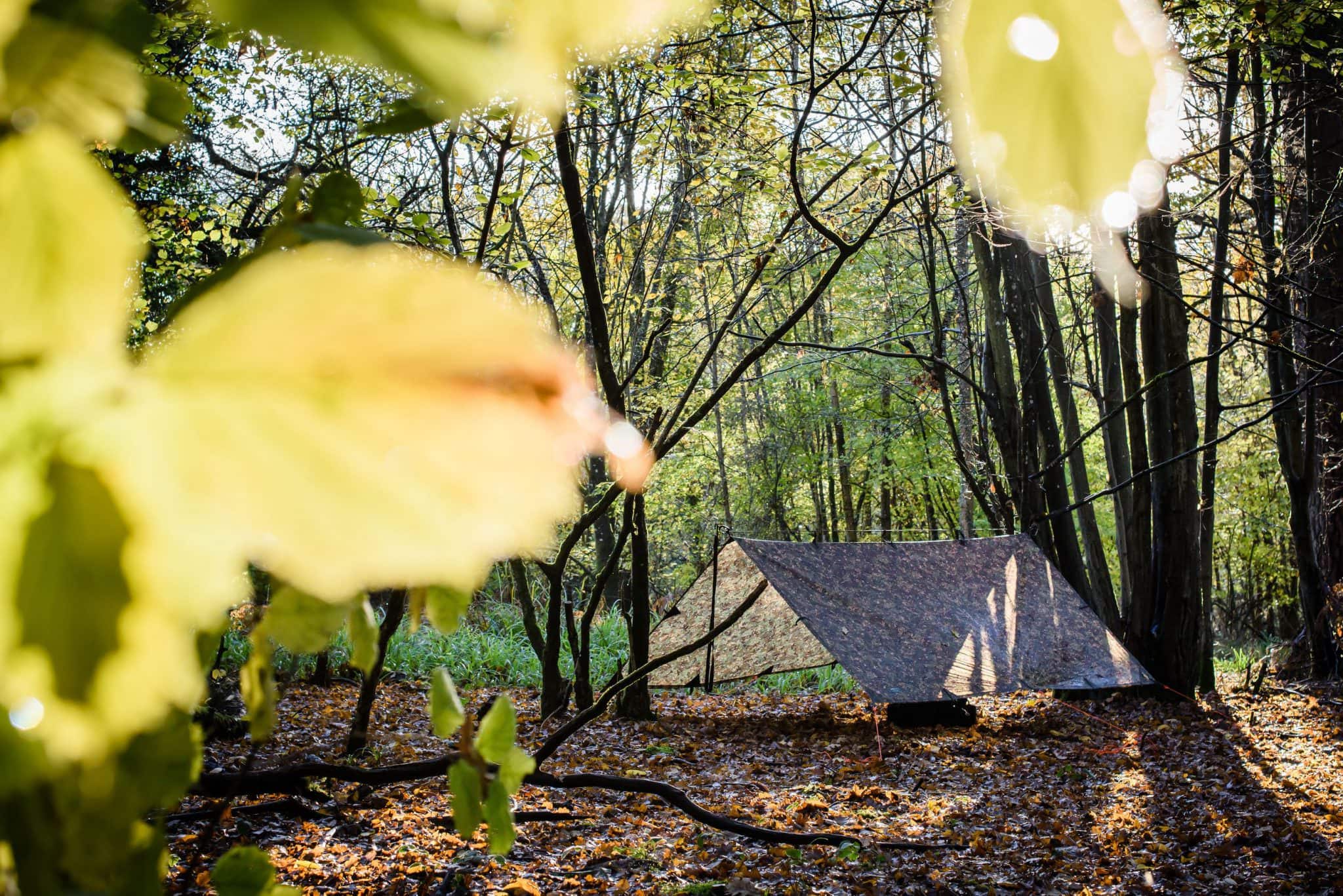 Tarp tent in the autumn