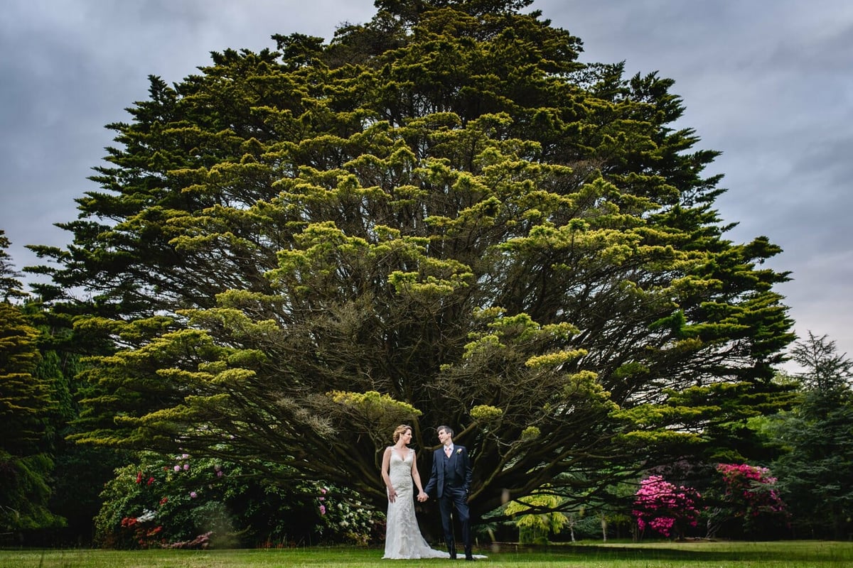 Studland Bay house Yew tree with bride and Groom