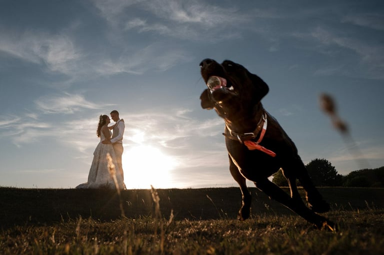 Milton Abbey wedding with a Milborne St Andrew Reception