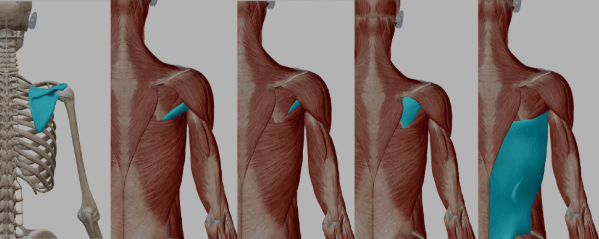 イージーパドリング