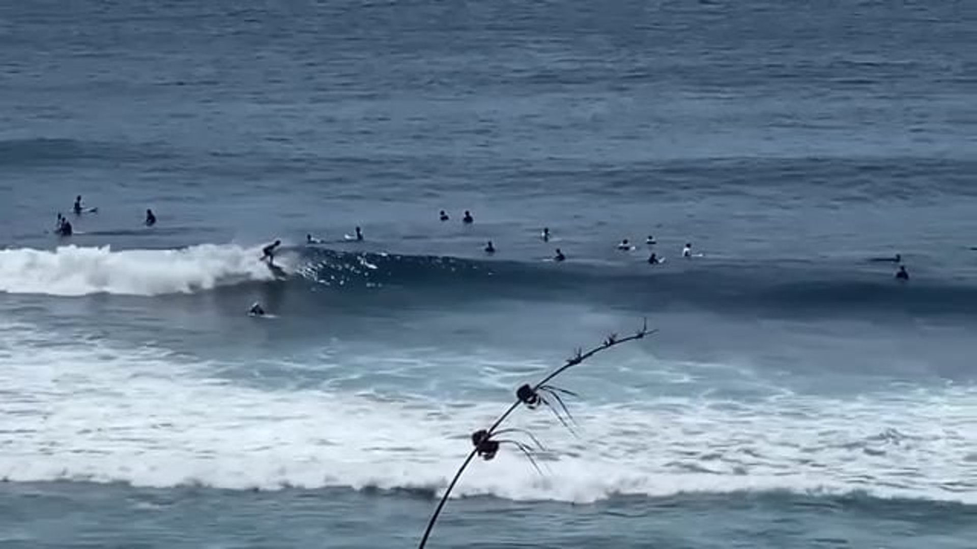 プロライディング解説動画_1xKRqeNPsF97b1hKTZWLN9beOygoRpUby