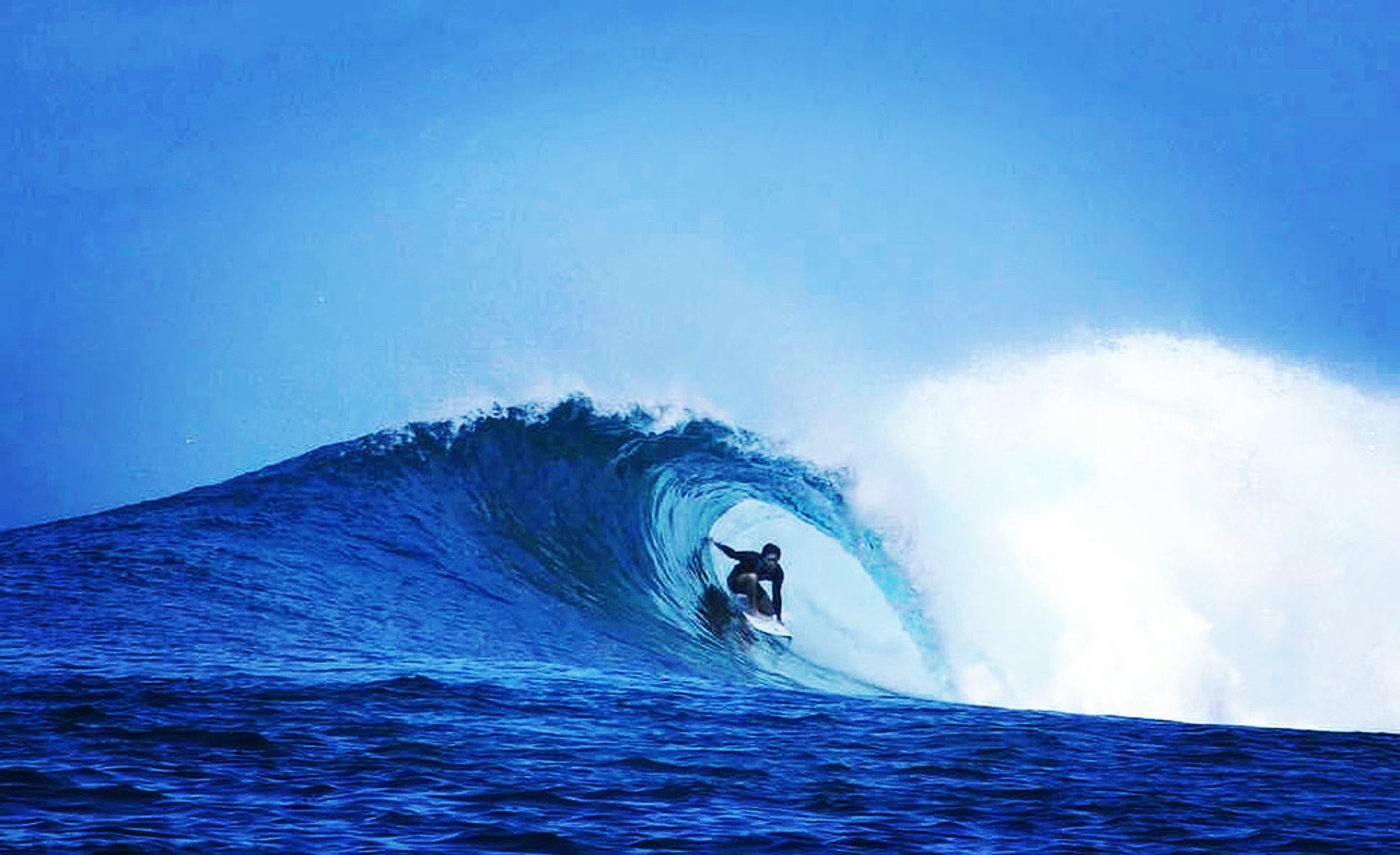 4430D431-1BB2-432B-BD7A-02337BBAA226