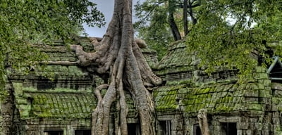Photo by James Wheeler on Unsplash (2018) Angkor Wat complex, Cambodia