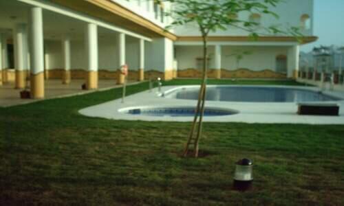 Salone
