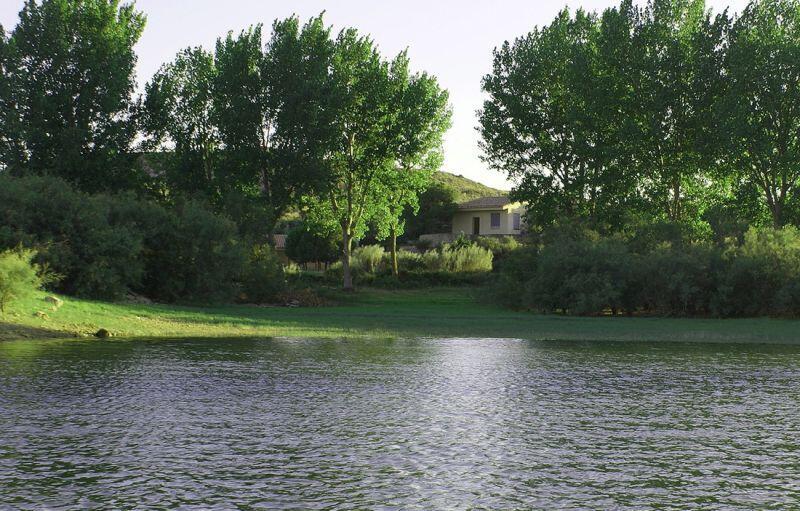 Salón