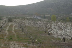 Photo Kuva 1