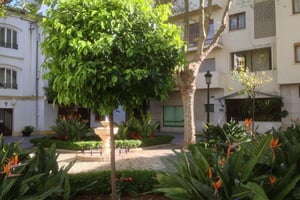 Photo Foto 1