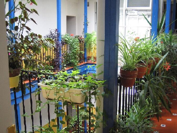 Salón