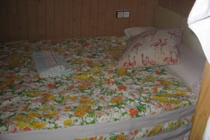 Photo Bild 1