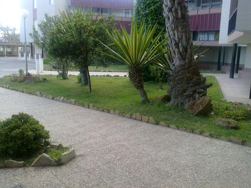 Aula