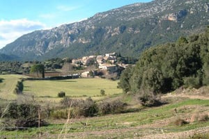 Photo Kuva 1