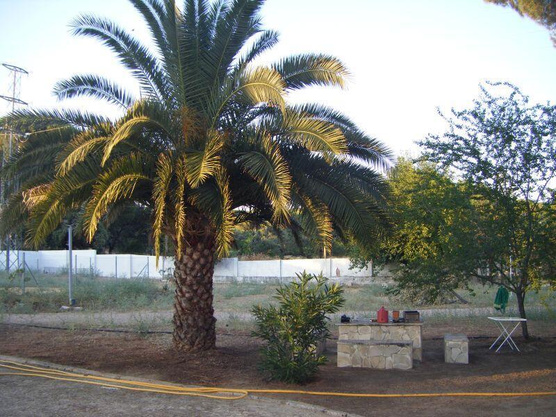 Aula