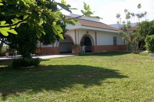 Photo Foto 1