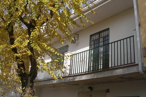 Photo Foto 1