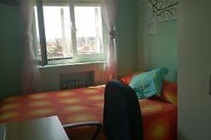 Photo Photo 1