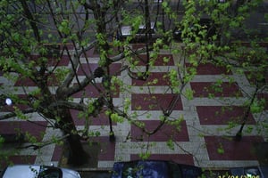 Photo Foto 1