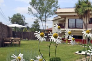 Photo Kuva 1