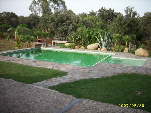 Salón