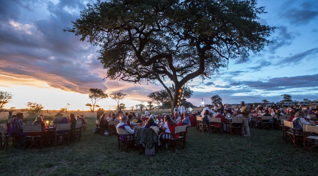 Surprise dinner in the African bush