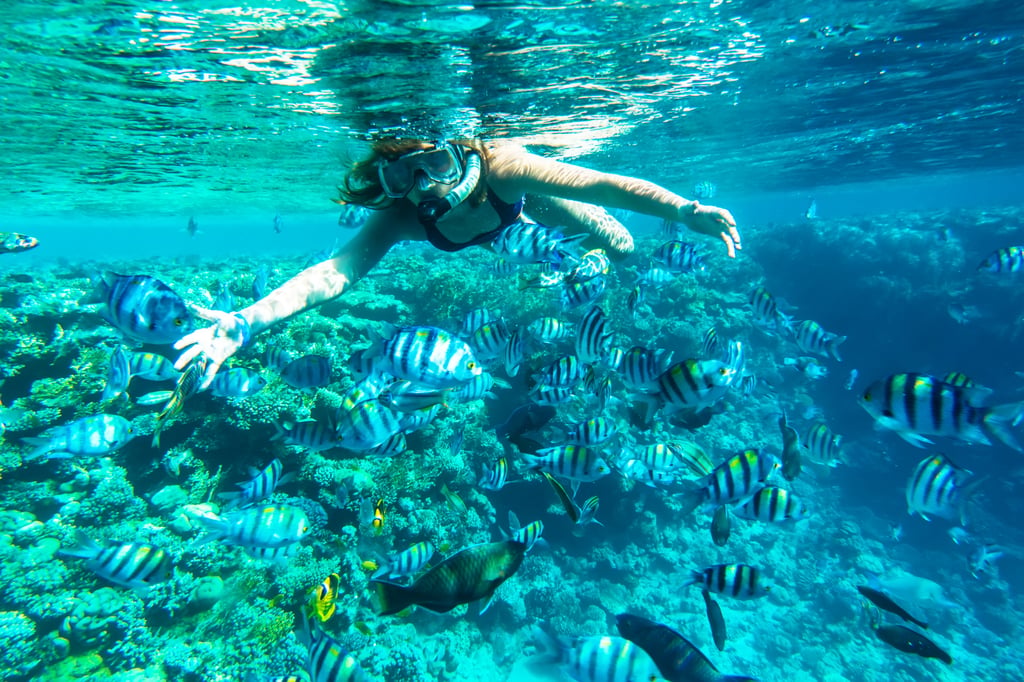Snorkeling