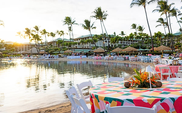 Wienerschnitzel NOS Hawaii 2024 Wienerschnitzel NOS Hawaii 2024