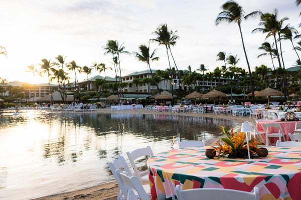 Wienerschnitzel NOS Hawaii 2024 Wienerschnitzel NOS Hawaii 2024
