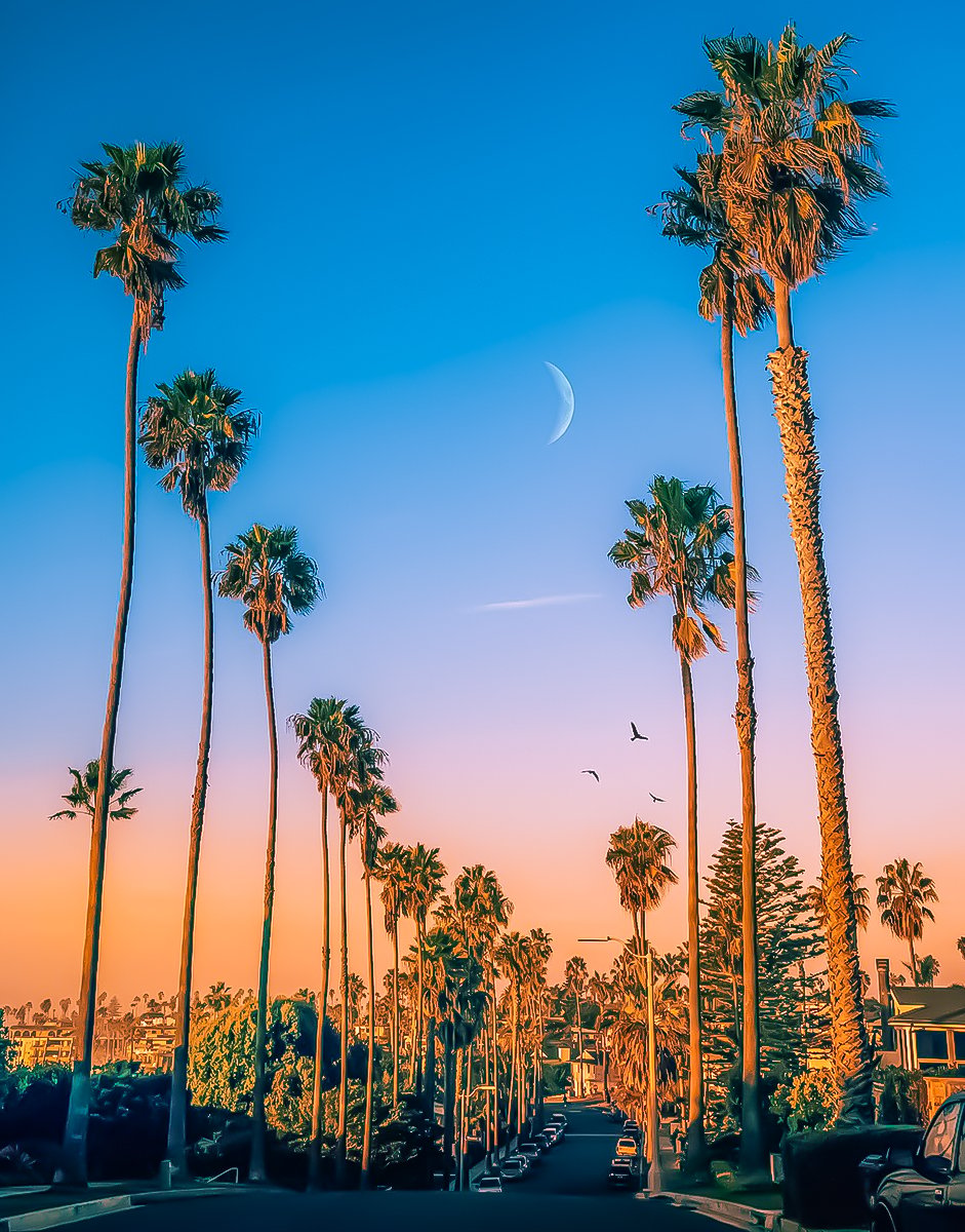 Unbridled San Diego