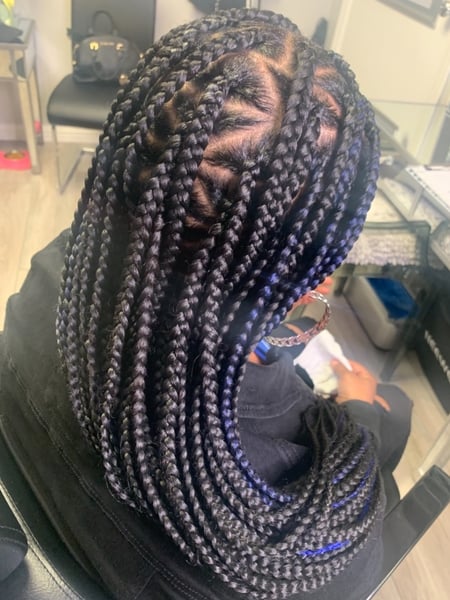 Image of  Braids (African American), Protective Styles (Hair), Extensions, Hairstyle