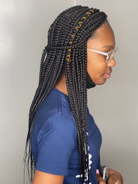 Image of  Hair Texture, 4B, Braids (African American), Women's Hair, Style