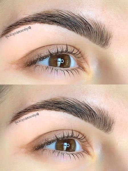 Image of  Brows, Rounded, Brow Shaping, Threading, Brow Technique, Brow Tinting