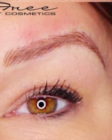 Image of  Brows, Steep Arch, Brow Shaping, Nano-Stroke, Microblading