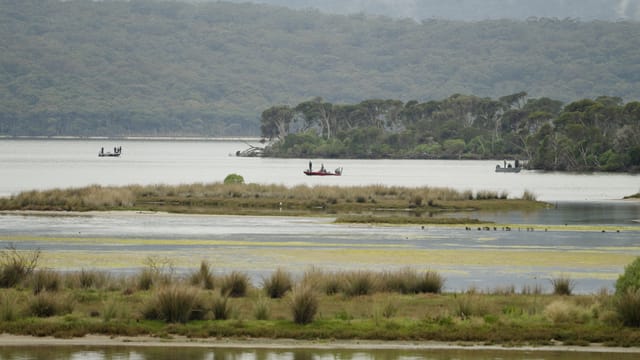 Boats scattered across the misty estuary between the marsh islands