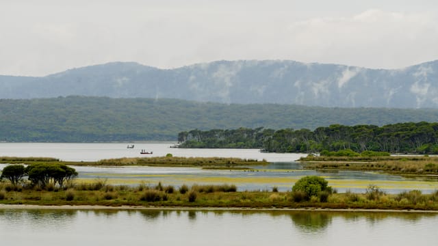 Marsh islands and boats on the misty inlet, ranges behind