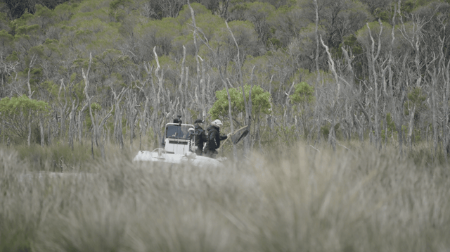 Working a fish through the bush-lined channels