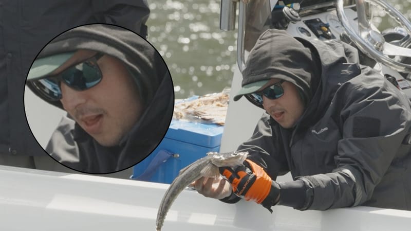 Releasing a flathead boatside at the Mallacoota Flatty Classic