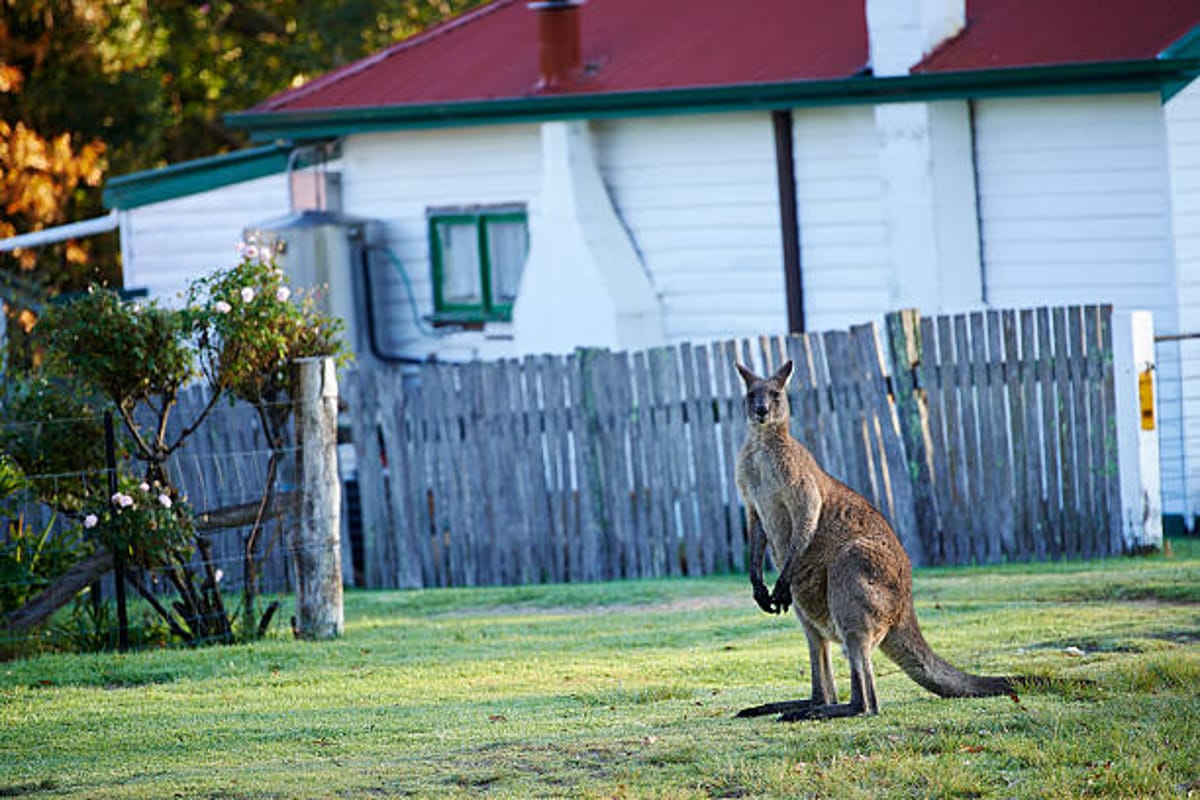 Spring Wildlife & Photography