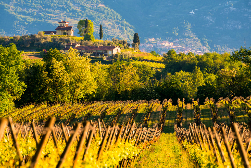 sostenibilità in Franciacorta