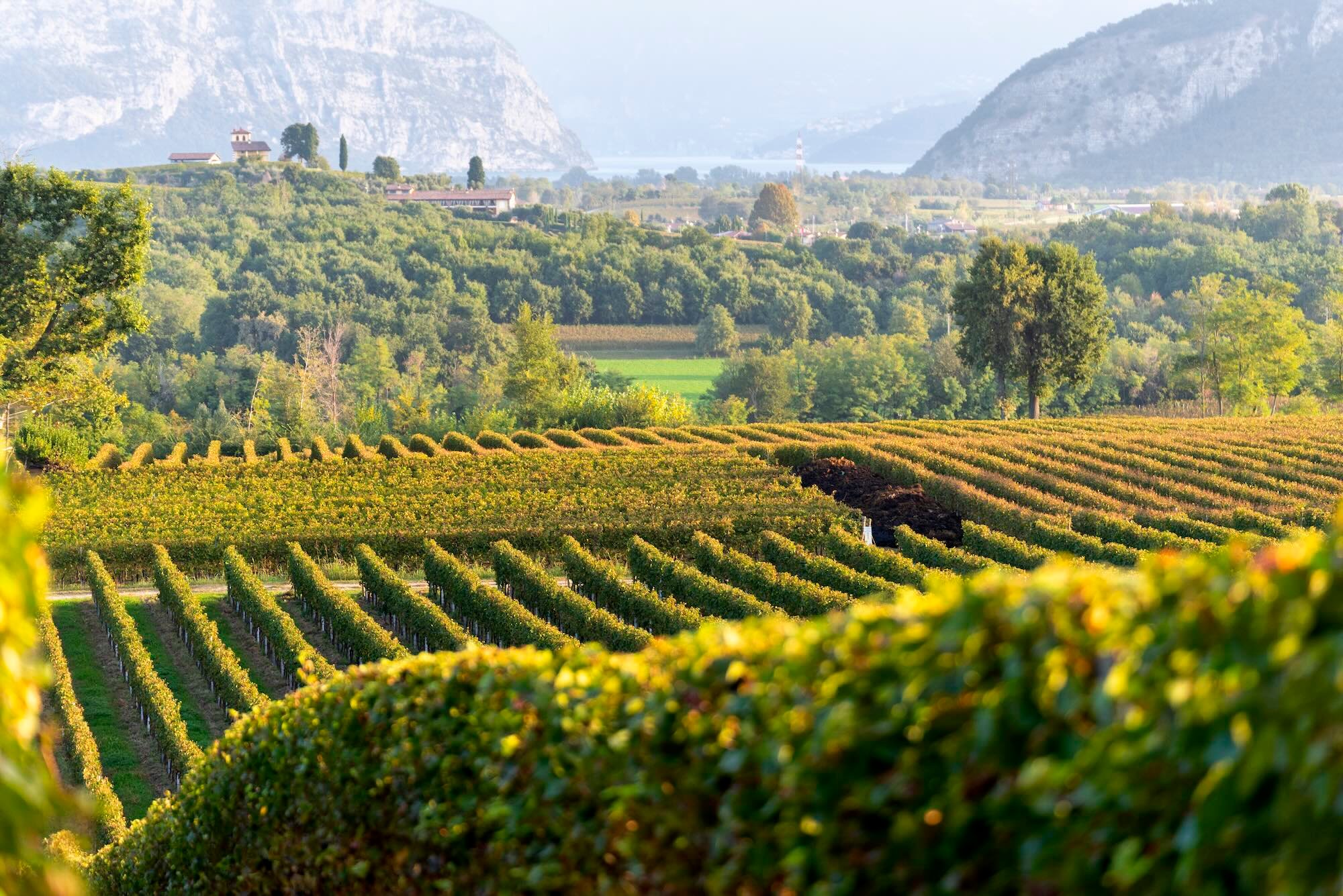 Visite ed eventi nel territorio