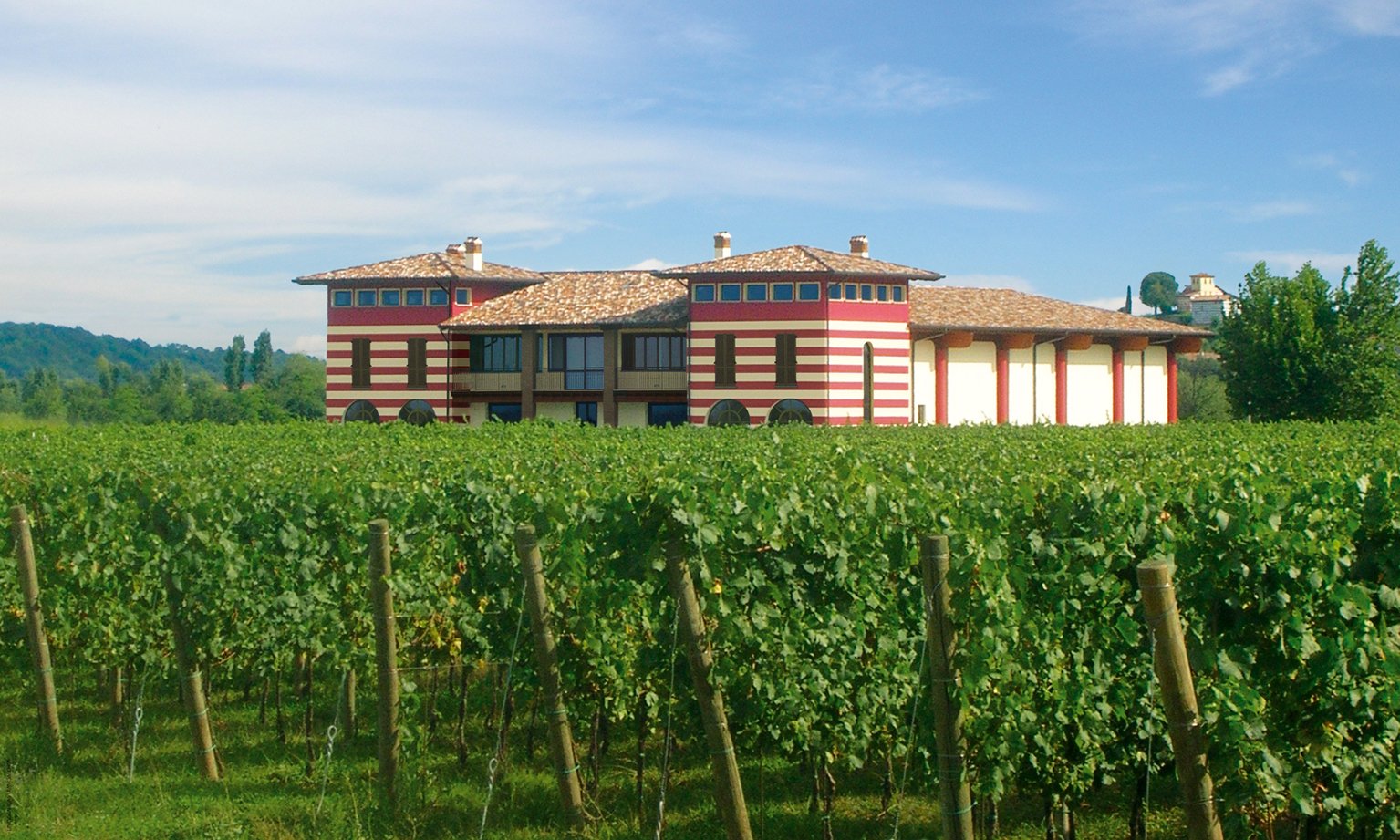 Alla scoperta del Franciacorta: tour, metodo e degustazione