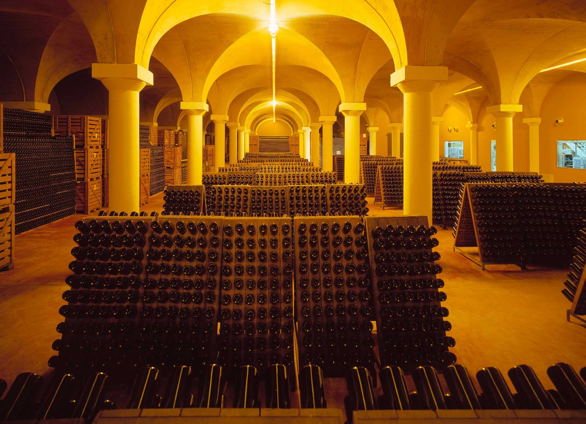Visita della cantina con degustazione
