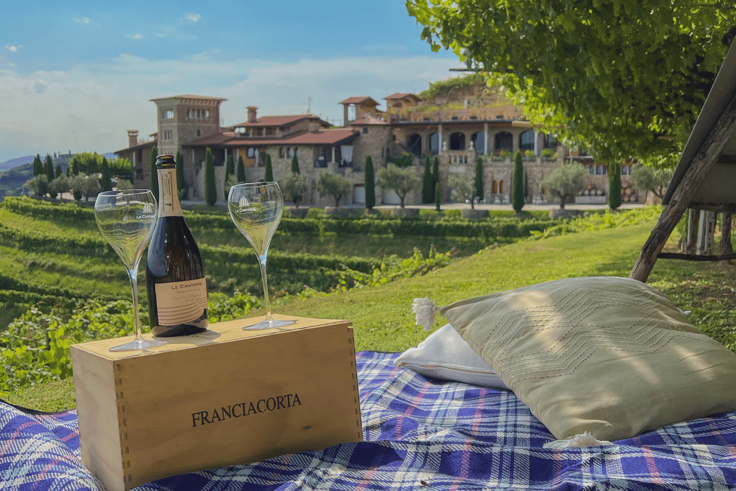 Pic Nic in Vigna con visita guidata
