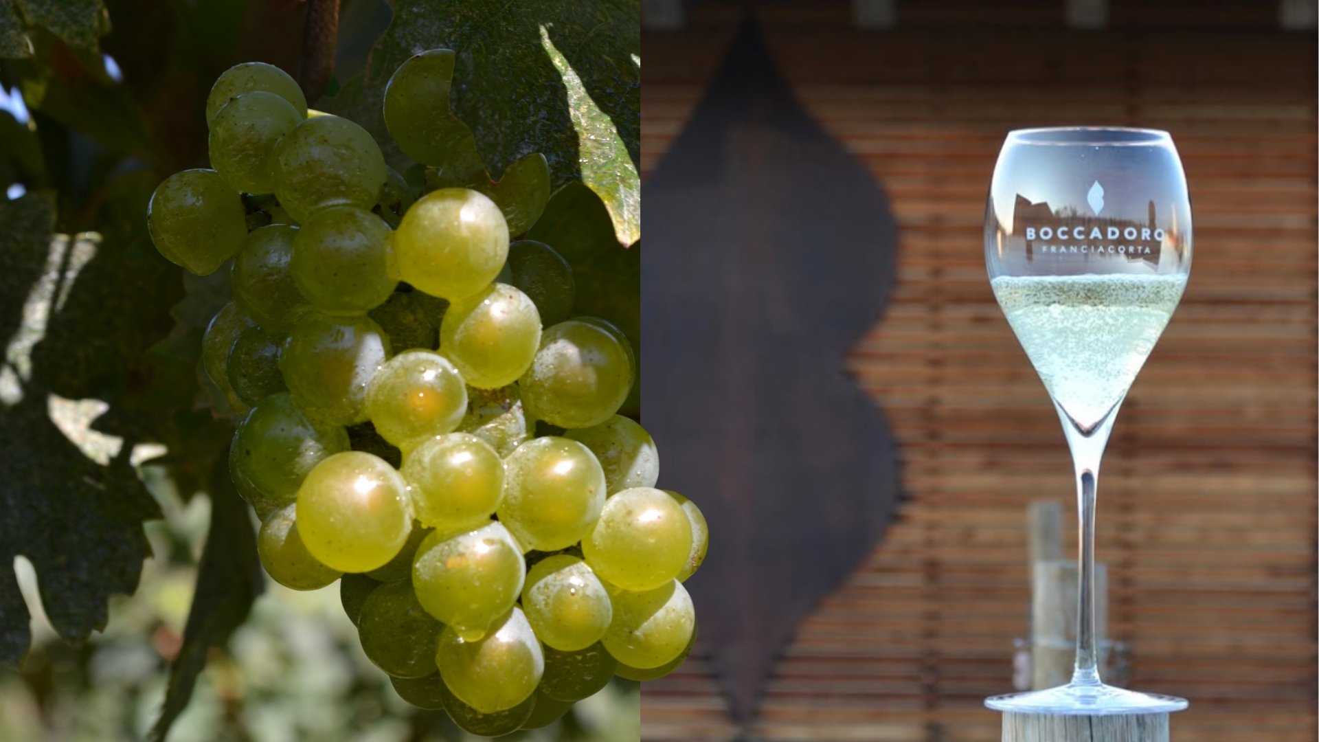 Dalla vigna alla tavola in cantina Boccadoro